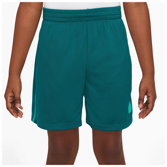 Dri-FIT Multi Trainingsshorts