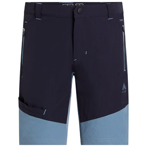 Aaron SHO B Shorts