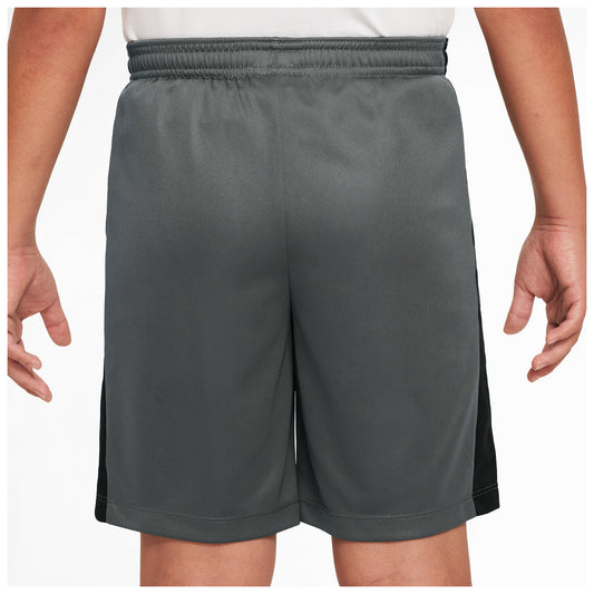 Dri-Fit Academy 23 Trainingsshorts
