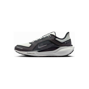 Nike Pegasus 41 GORE-TEX