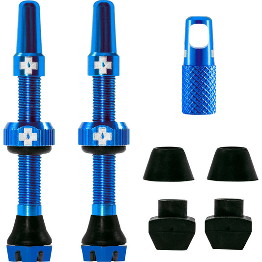 V2 Tubeless Ventil Kit