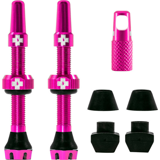 V2 Tubeless Ventil Kit