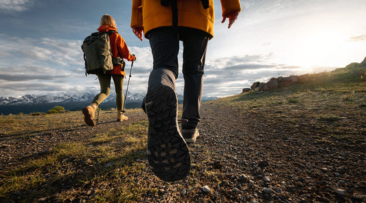 Die besten Wanderschuhe kaufen – Top Auswahl für jedes Gelände