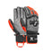 Reusch_Worldcup Warrior DH