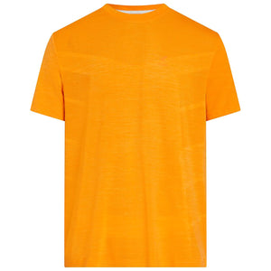 Tayeb SS M T-Shirt S/S Seamless