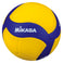 Volleyball V330W
