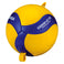 Volleyball V300WATTR