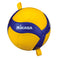 Volleyball V300WATTR