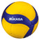 Volleyball V200W