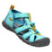 Y Seacamp II CNX