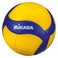 Volleyball V300W