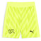 Suisse Gardien de but Shorts de football