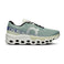 Cloudmonster 2 Laufschuhe