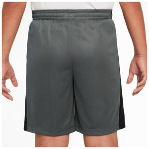 Dri-Fit Academy 23 Short de training