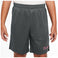 Dri-Fit Academy 23 Trainingsshorts