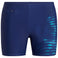 Hillsdale Trunks M Trunk