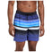 Lario M Ripper Shorts