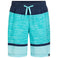 Lario B Melange Stripe Shorts