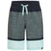 Lario B Melange Stripe Shorts