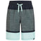 Lario B Melange Stripe Shorts