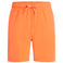 Ken III B Shorts