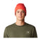 Everyone's Favorite Beanie
