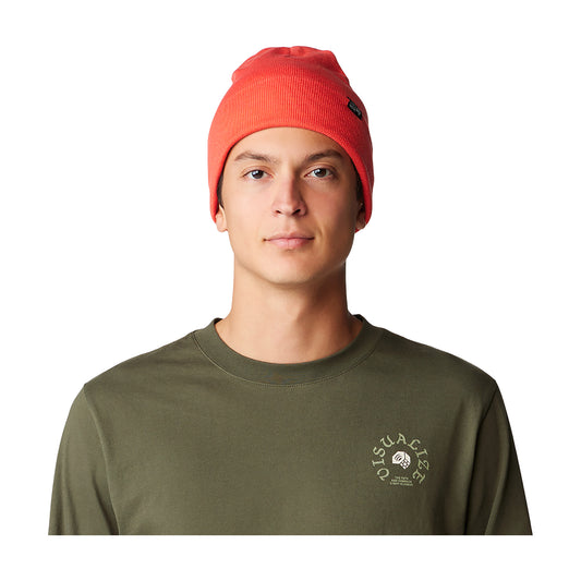 Everyone's Favorite Beanie