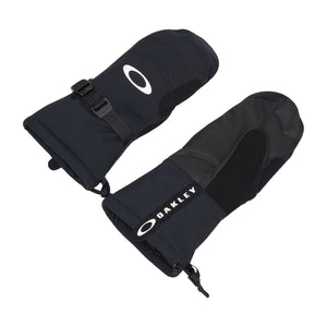 Powder Ridge Skihandschuhe