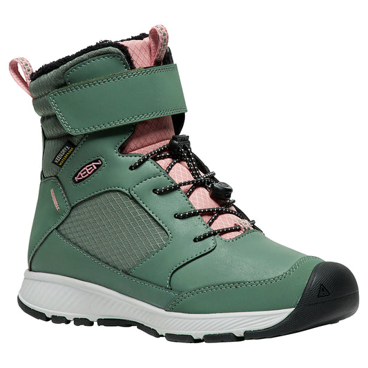 Y Skua Winter WP