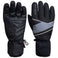 Laslo III M Gloves Ski