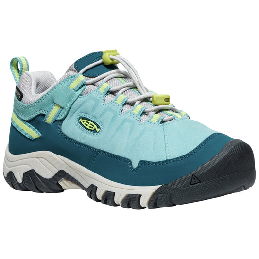 Y Targhee IV Low WP