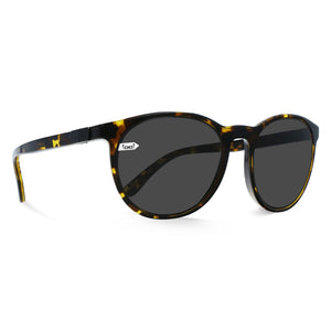 Gi33 Barcelona night havanna Sonnenbrille