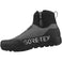 Nanuq GTX Shoes
