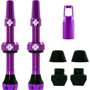 V2 Tubeless Ventil Kit