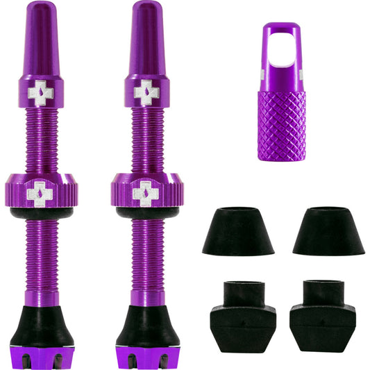 V2 Tubeless Ventil Kit