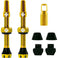 V2 Tubeless Ventil Kit