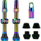 V2 Tubeless Ventil Kit
