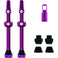 V2 Tubeless Ventil Kit