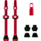 V2 Tubeless Ventil Kit