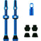 V2 Tubeless Ventil Kit