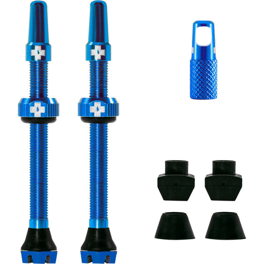 V2 Tubeless Ventil Kit