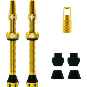 V2 Tubeless Ventil Kit