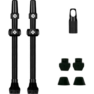 V2 Tubeless Ventil Kit