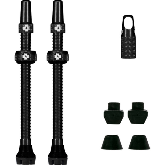 V2 Tubeless Ventil Kit