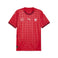 Schweiz Home Replica Herren Fussballtrikot Frauen EM 2025