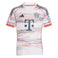 FC Bayern München 25/26 Away Fussballtrikot