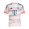 FC Bayern München 25/26 Away Fussballtrikot
