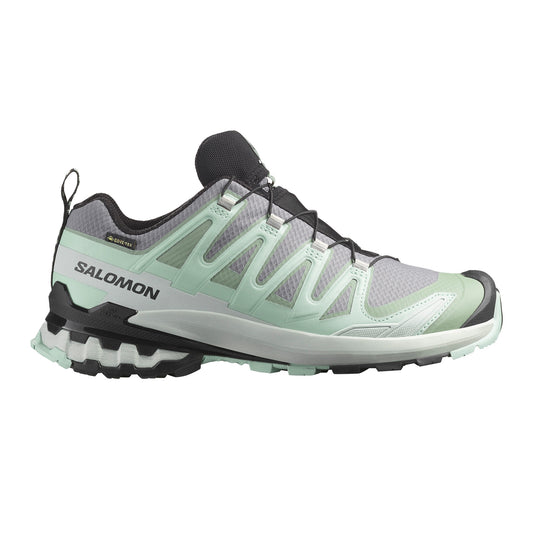 XA Pro 3D V9 Gore-Tex Trailrunningschuhe