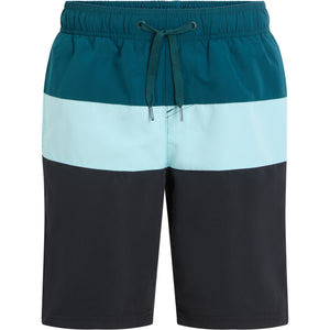 Natal B Shorts