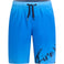 Lario B Typo Shaded Shorts